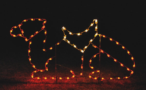 Resting Camel | All American Christmas Co