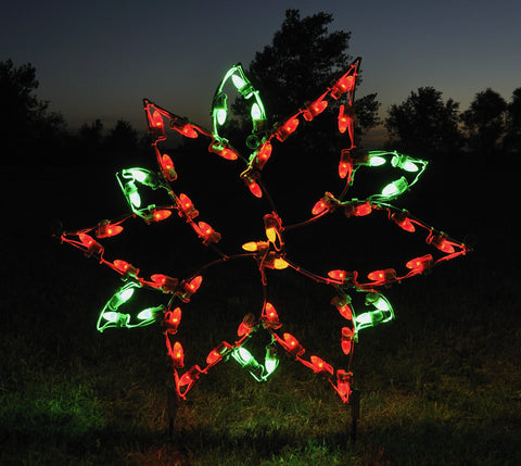 Poinsettia - Small | All American Christmas Co