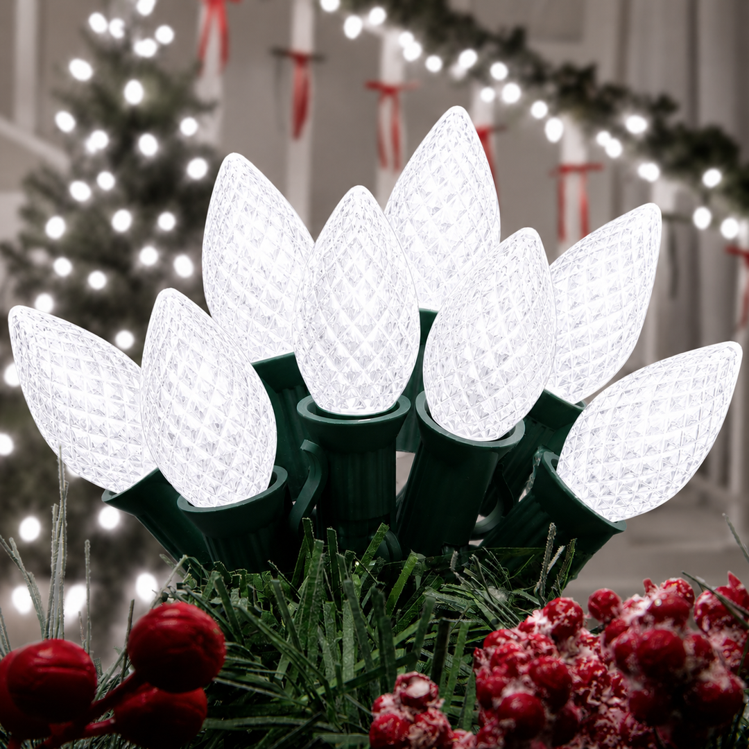 C9 LED Bulbs