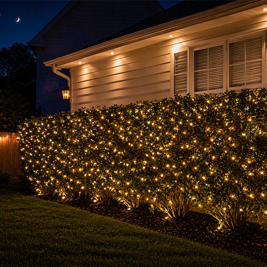 4' x 6' Net Lights