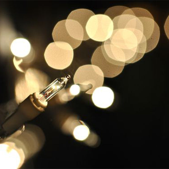 Twinkle Mini Lights