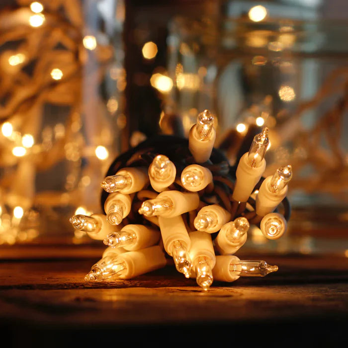10 Count Craft Lights