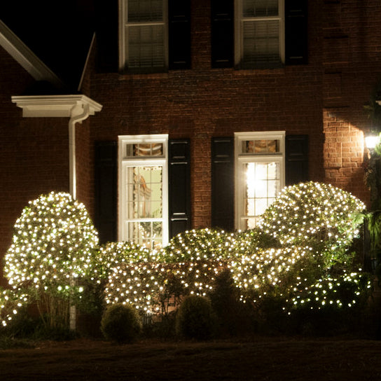 Net Lights