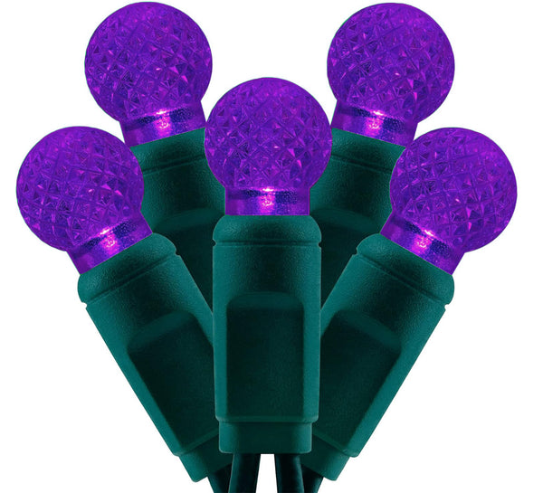 G12 Raspberry LED Lights - 50 count - Purple - Green Wire - Case of 12