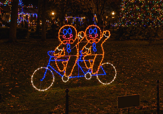 Gingerbread Bicycle
