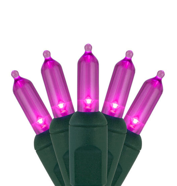 Case of 12 Smooth T5 LED Mini Lights - 50 count - Pink