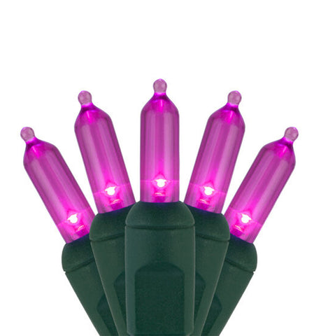 Case of 12 Smooth T5 LED Mini Lights - 50 count - Pink