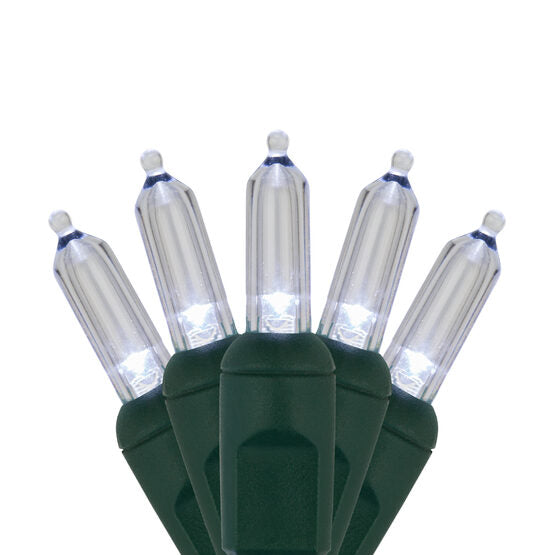 Case of 12 Smooth T5 LED Mini Lights - 50 count - 6" - Pure White