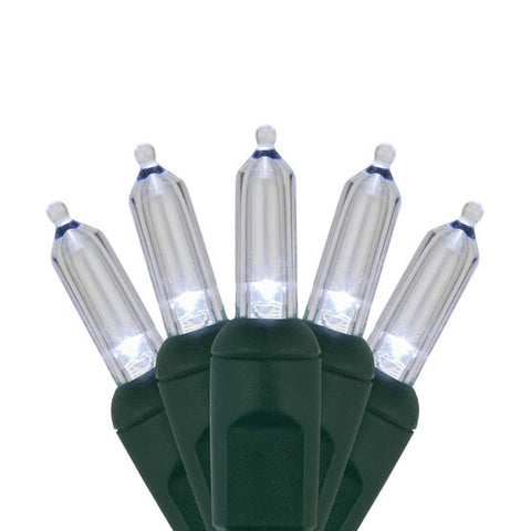 Case of 12 Smooth T5 LED Mini Lights - 50 count - 6" - Pure White