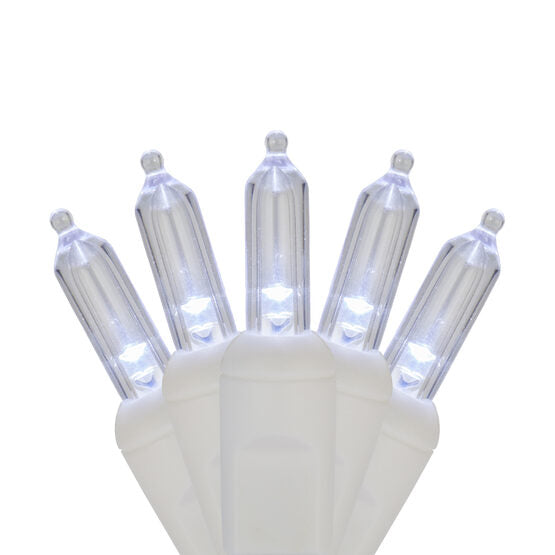 Case of 12 Smooth T5 LED Mini Lights - 50 count - Pure White