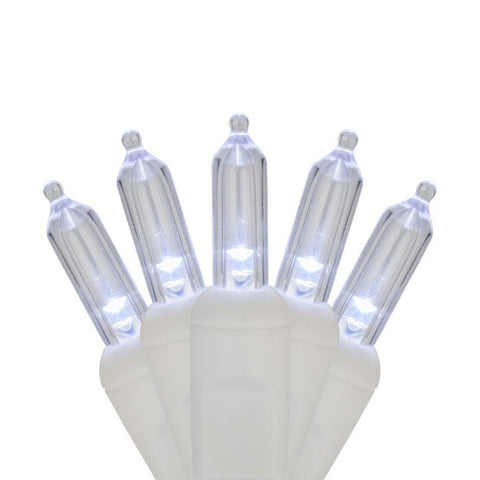 Case of 12 Smooth T5 LED Mini Lights - 50 count - Pure White