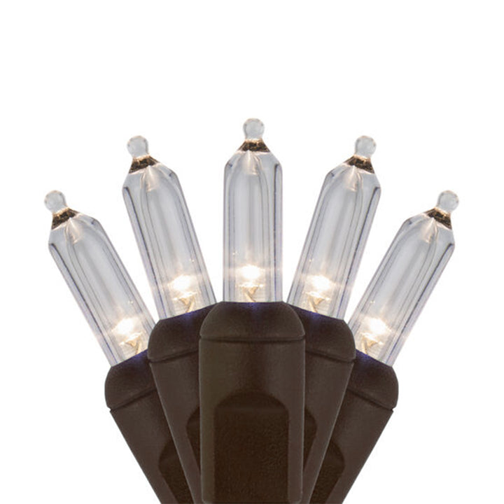 Case of 12 Smooth T5 LED Mini Lights - 50 count - Warm White