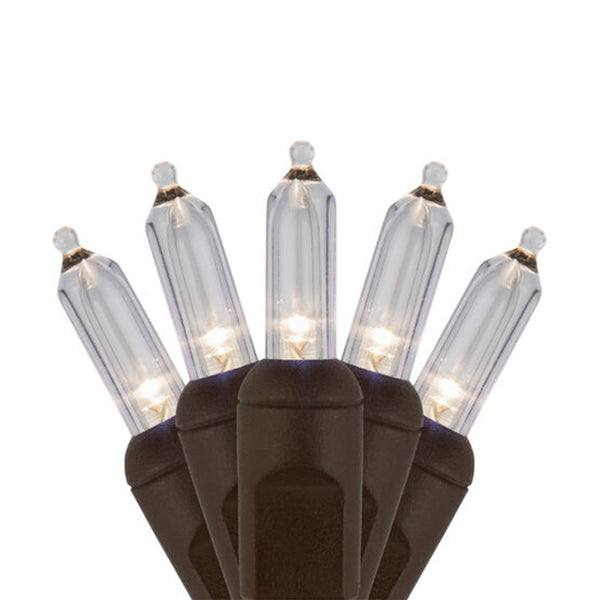 Case of 12 Smooth T5 LED Mini Lights - 50 count - Warm White