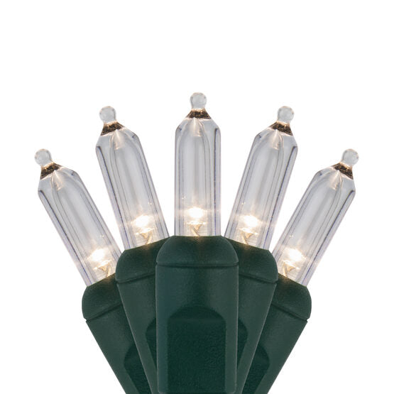 Case of 12 Smooth T5 LED Mini Lights - 50 count - Warm White