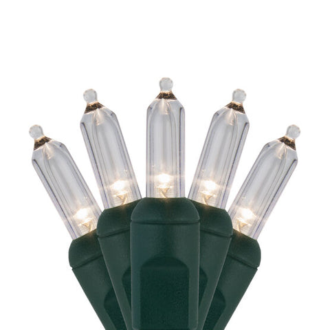 Case of 12 Smooth T5 LED Mini Lights - 50 count - Warm White