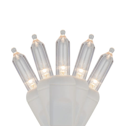Case of 12 Smooth T5 LED Mini Lights - 50 count - Warm White