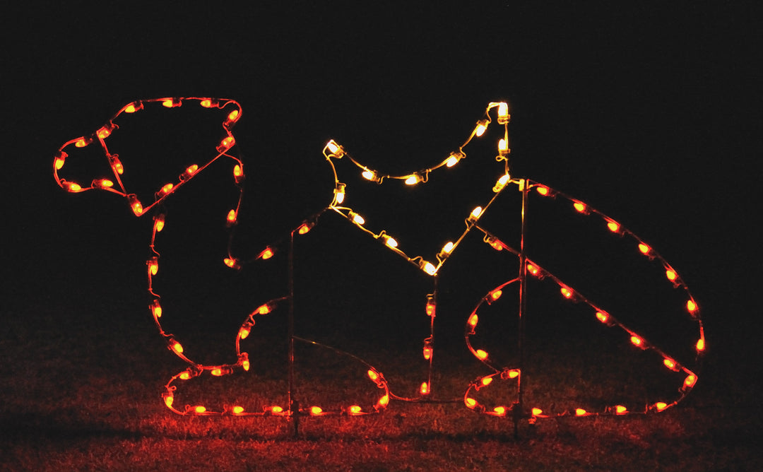Resting Camel | All American Christmas Co
