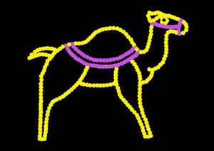 Camel | All American Christmas Co