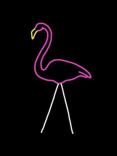 Pink Flamingo