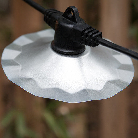 100&