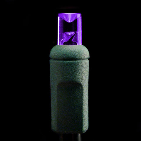 Wide Angle 5mm LED Lights - 70 count - Purple - Green Wire | All American Christmas Co